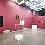 topkapı üniversitesi