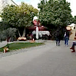 istanbul topkapı üniversitesi kampüsler