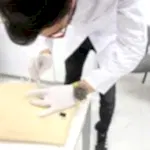 topkapı üniversitesi sağlık laboratuvarları