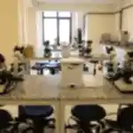 topkapı üniversitesi sağlık laboratuvarları