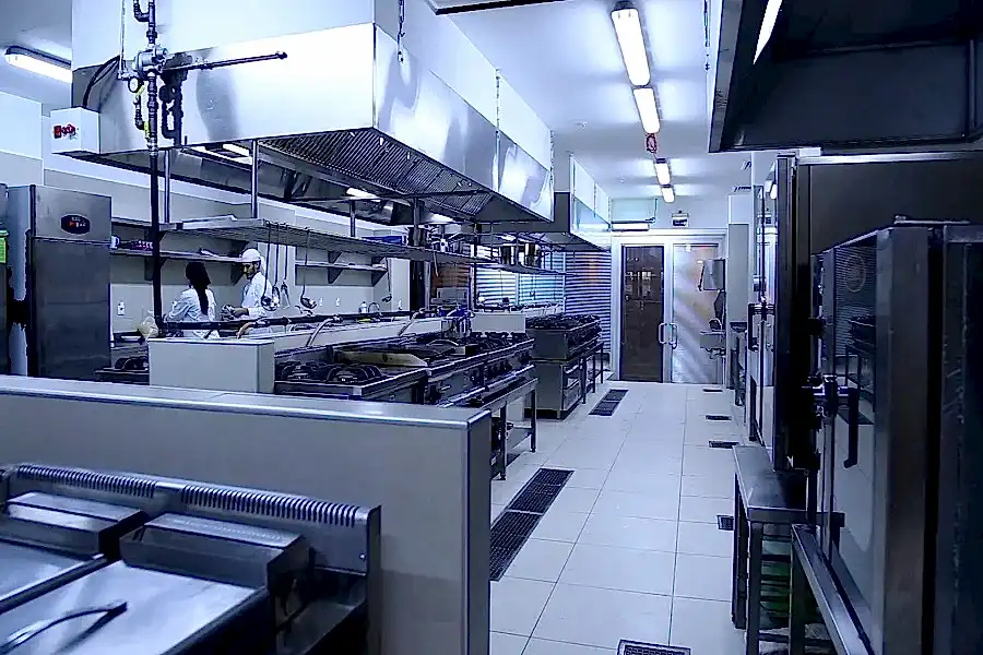 gastronomi